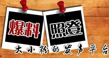 爆料潮汕新闻,揭秘潮汕地区最新爆料事件  第1张